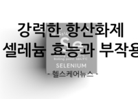 강력한 항산화제 셀레늄 효능과 부작용