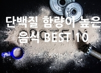 단백질 함량이 높은 음식 BEST 10