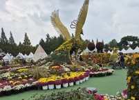꽃과 사람과 향기로 붐빈 제22회 익산 천만 송이 국화축제