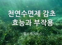 천연수면제라 불리는 감태의 효능과 부작용