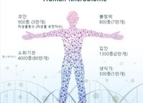 건강>정보>올바른 유산균 섭취방법 1