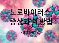 겨울철 식중독 노로바이러스 증상과 예방법