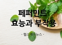 페퍼민트 효능과 부작용