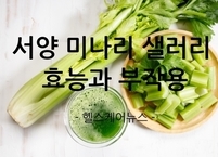 서양의 미나리 샐러리 효능 10가지