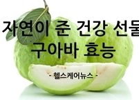 자연이 준 건강 선물 구아바 효능