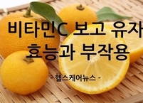 비타민C 보고 유자 효능과 부작용