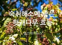 숙취해소에 좋은 헛개나무 효능