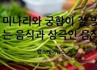 미나리와 궁합이 잘 맞는 음식과 상극인 음식