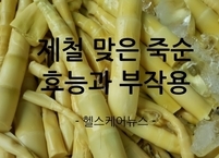 제철 맞은 죽순 효능과 부작용