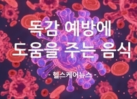 독감 예방에 도움을 주는 음식
