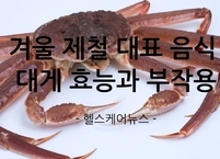 겨울 제철 대표 음식 대게 효능과 부작용