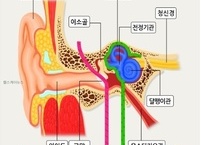 여름철 귀 건강관리