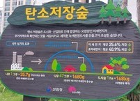 탄소저장숲 조성하는 데 일조하자