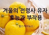 겨울의 전령사 유자차 효능