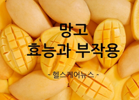 맛도 영양도 모두 좋은 망고 효능