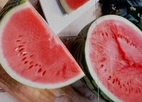 아무리 많이 먹어도 탈이 나지 않은 여름 채소 열매