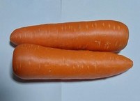 건강해지려면 당나귀처럼 당근을 먹어라