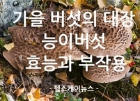 가을 버섯의 대장 능이버섯 효능과 부작용