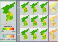 사라져가는 우리 땅의 특산 식물들, 기후 위기가 바꾸는 한반도 생태지도