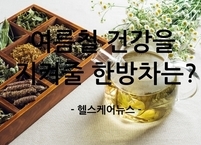 여름철 건강을 지켜줄 한방차는?