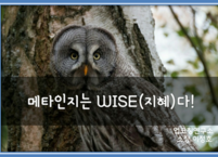 메타인지는 WISE(지혜)다!