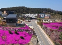[포토뉴스] 분홍색으로 물든 순창 쉴랜드