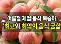 여름철 제철 음식 복숭아, ‘최고와 최악의 음식 궁합’