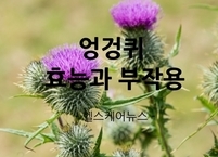 잡초 중의 잡초였던 엉겅퀴의 놀라운 효능