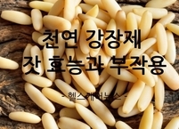 제철 맞은 천연 강장제 잣 효능과 부작용
