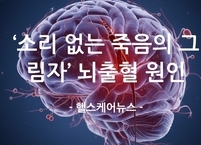 ‘소리 없는 죽음의 그림자’ 뇌출혈, 원인과 증상