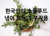 한국인의 소울푸드 냉이의 효능과 부작용