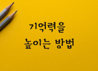 기억력을 높이는 방법
