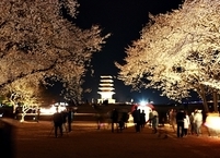 익산시, 코로나19로 익산 문화재 야행 7월로 연기