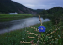 (영미시산책) 송시: 영혼의 암시 (그리고 아 그대 샘들이여.) 윌리엄 워즈워스