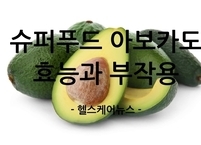 여름철 건강을 위한 슈퍼푸드 아보카도 효능