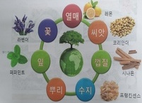 아로마테라피