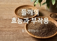 들깨 효능과 부작용