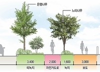 전주시, 주요 간선도로에 도시 바람길숲 조성