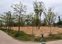 익산시, 느티나무 시민의 숲 조성... 미세먼지 저감 