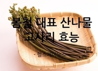 봄철 대표적인 산나물 고사리 효능과 부작용