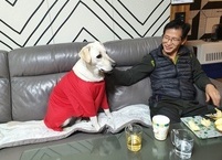 반려동물의 코로나감염 19 감염.전파 가능성