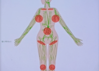 회춘열쇠, 막힌 림프 시원하게 뚫어주는 비책