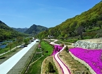 [주말 가볼만한곳] 봄꽃내음 가득한 전북 순창 용궐산 자연휴양림