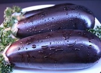 건강>정보> 7월 밥상위의 보약, 가지