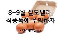 8~9월 살모넬라 식중독에 주의하자