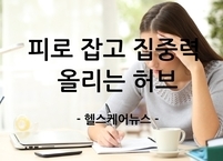 100% 천연 에너지! 피로 잡고 집중력 올리는 허브 6가지