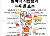 제 2의 심장 발 건강의 중요성과 발바닥 근육 강화 운동법