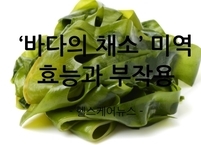 ‘바다의 채소’ 미역 효능과 부작용