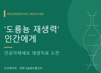 줄기세포 넘어선 '인공아체세포'…재생치료 새 지평 열다
