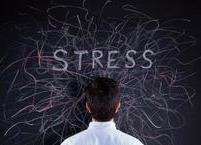 스트레스가 건강에 미치는 영향